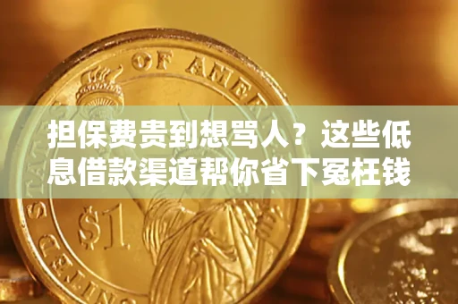 北京担保费贵到想骂人？这些低息借款渠道帮你省下冤枉钱