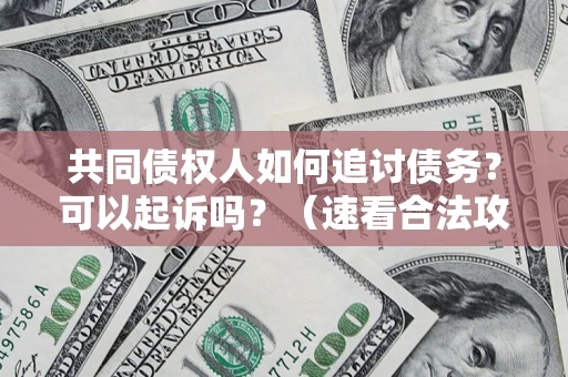 北京共同债权人如何追讨债务？可以起诉吗？（速看合法攻略）