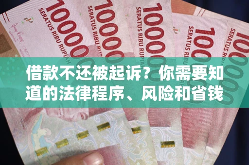 北京借款不还被起诉？你需要知道的法律程序、风险和省钱技巧